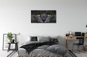 Obraz na płótnie Czarny kot