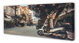 Obraz na płótnie Motocykle palmy miasto lato