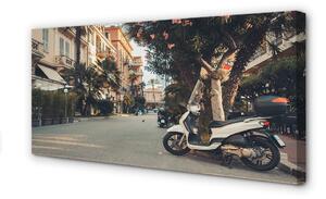 Obraz na płótnie Motocykle palmy miasto lato