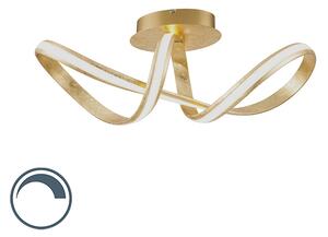Designerski Plafon / Lampy sufitowe złoty LED ściemnialny - Belinda Oswietlenie wewnetrzne