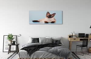 Obraz na płótnie Leżący kot