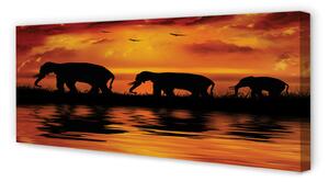 Obraz na płótnie Zachód słonie jezioro