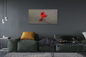 Obraz na płótnie Czerwona papuga na gałęzi