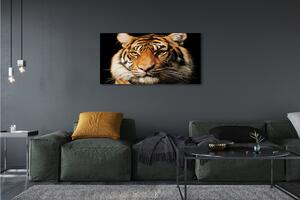 Obraz na płótnie Tygrys