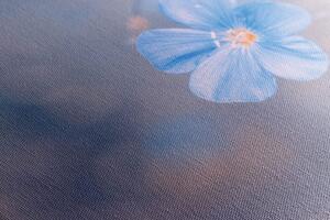 Obraz niebieskie kwiaty na tle vintage