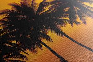 Obraz zachód słońca nad palmami