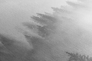 Obraz mgła nad lasem w wersji czarno-białej
