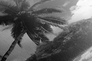 Obraz piękna plaża na wyspie Seszele w wersji czarno-białej