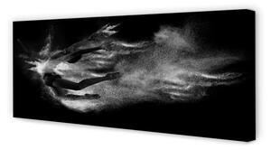 Obraz na płótnie Kobieta balet dym szare tło