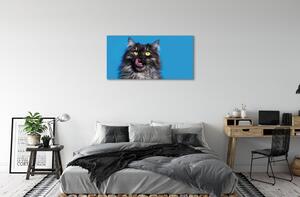 Obraz na płótnie Oblizujący się kot