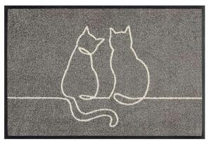 Wycieraczka Cat Line Duo 40 x 60 cm