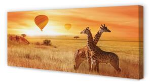 Obraz na płótnie Balony niebo żyrafy