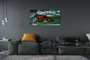 Obraz na płótnie Motyl na kwiatku