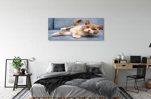 Obraz na płótnie Leżący kot