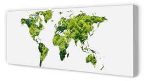 Obraz na płótnie Mapa zielona trawa