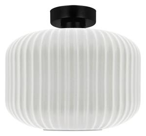 Lampa z dużym kloszem C5-W22