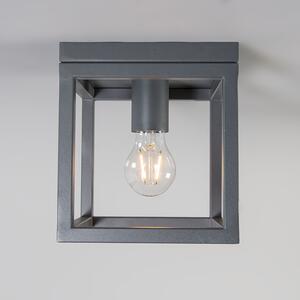 Przemysłowy Plafon / Lampy sufitowe antracyt - Cage 1 Oswietlenie wewnetrzne