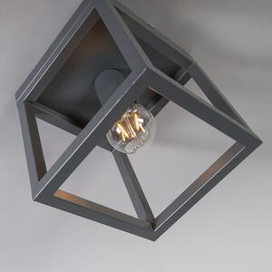 Przemysłowy Plafon / Lampy sufitowe antracyt - Cage 1 Oswietlenie wewnetrzne