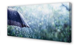Obraz na płótnie Krople parasol deszcz