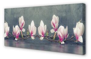 Obraz na płótnie Gałąź magnolii