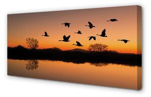 Obraz na płótnie Lecące ptaki zachód słońca