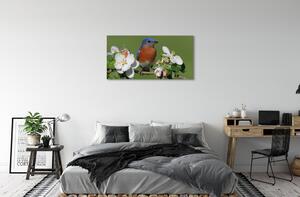 Obraz na płótnie Kwiaty kolorowa papuga
