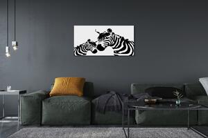 Obraz na płótnie Malowane zebry