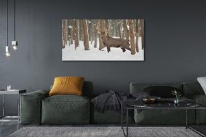 Obraz na płótnie Jeleń zima las