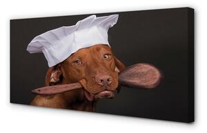 Obraz na płótnie Pies kucharz