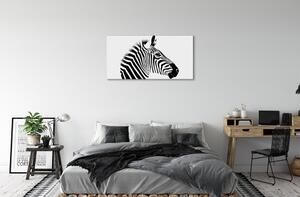 Obraz na płótnie Ilustracja zebry