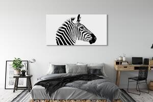 Obraz na płótnie Ilustracja zebry
