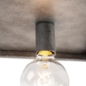 Nowoczesny Plafon / Lampy sufitowe antyczne srebro - Big Cage Oswietlenie wewnetrzne