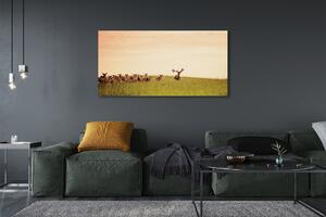 Obraz na płótnie Stado jeleni pole wschód słońca