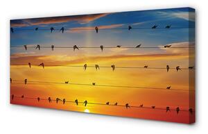 Obraz na płótnie Ptaki na linach zachód słońca