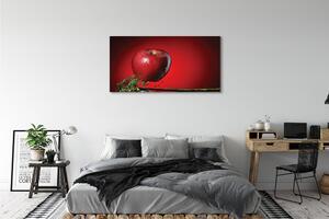 Obraz na płótnie Jabłko woda
