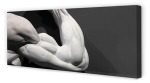 Obraz na płótnie Mięśnie czarno-białe