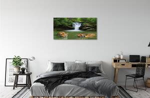 Obraz na płótnie Wodospad tygrysy