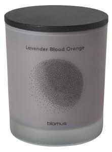 Świeca zapachowa FLAVO L lavender, blood orange BLOMUS