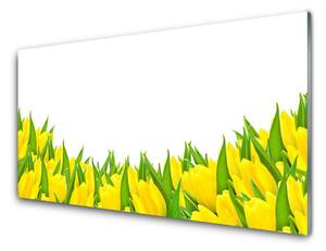Obraz Szklany Kwiaty Natura Tulipany