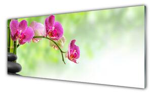 Obraz na Szkle Kwiat Natura Bambus