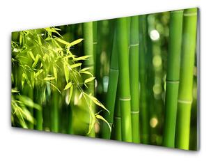 Obraz Szklany Bambus Liście Roślina