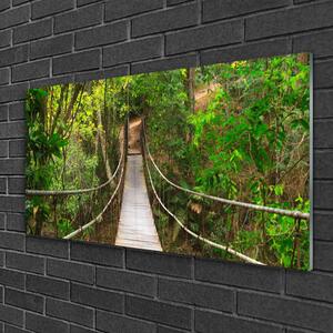Obraz Szklany Most Dżungla Las Tropikalny