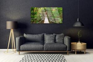 Obraz Szklany Most Dżungla Las Tropikalny