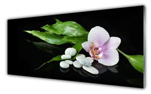 Obraz na Szkle Kwiat Kamienie Liście