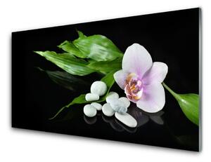 Obraz na Szkle Kwiat Kamienie Liście