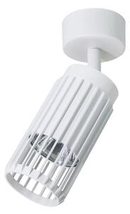 Industrialna biała lampa reflektorowa - K355 S8-D55