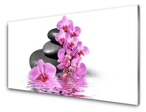 Obraz na Szkle Piękny Kwiat Kamienie
