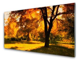 Obraz Szklany Drzewa Jesień Przyroda