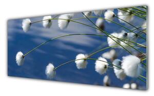 Obraz Szklany Kwiaty Roślina Natura
