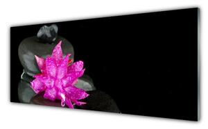 Obraz na Szkle Kwiat Kamienie Czarny